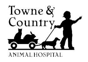 Home | Veterinarian in Brighton, MI | Towne and Country Animal Hospital